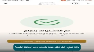 راتبك لحظي.. كيف تحقق دفعات مالية فورية عبر الحوافظ الرقمية؟